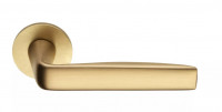 Дверная ручка на круглой розетке DND HANDLES Viva! PVD-SG 12 античное сатинированное золото